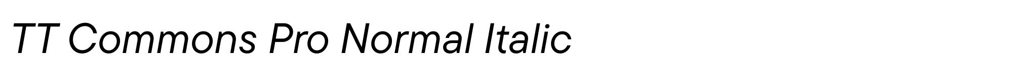 TT Commons Pro Normal Italic image